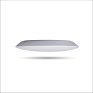 Gato