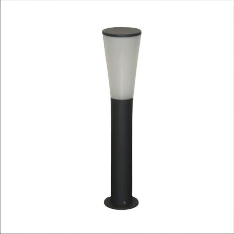 Salazar1